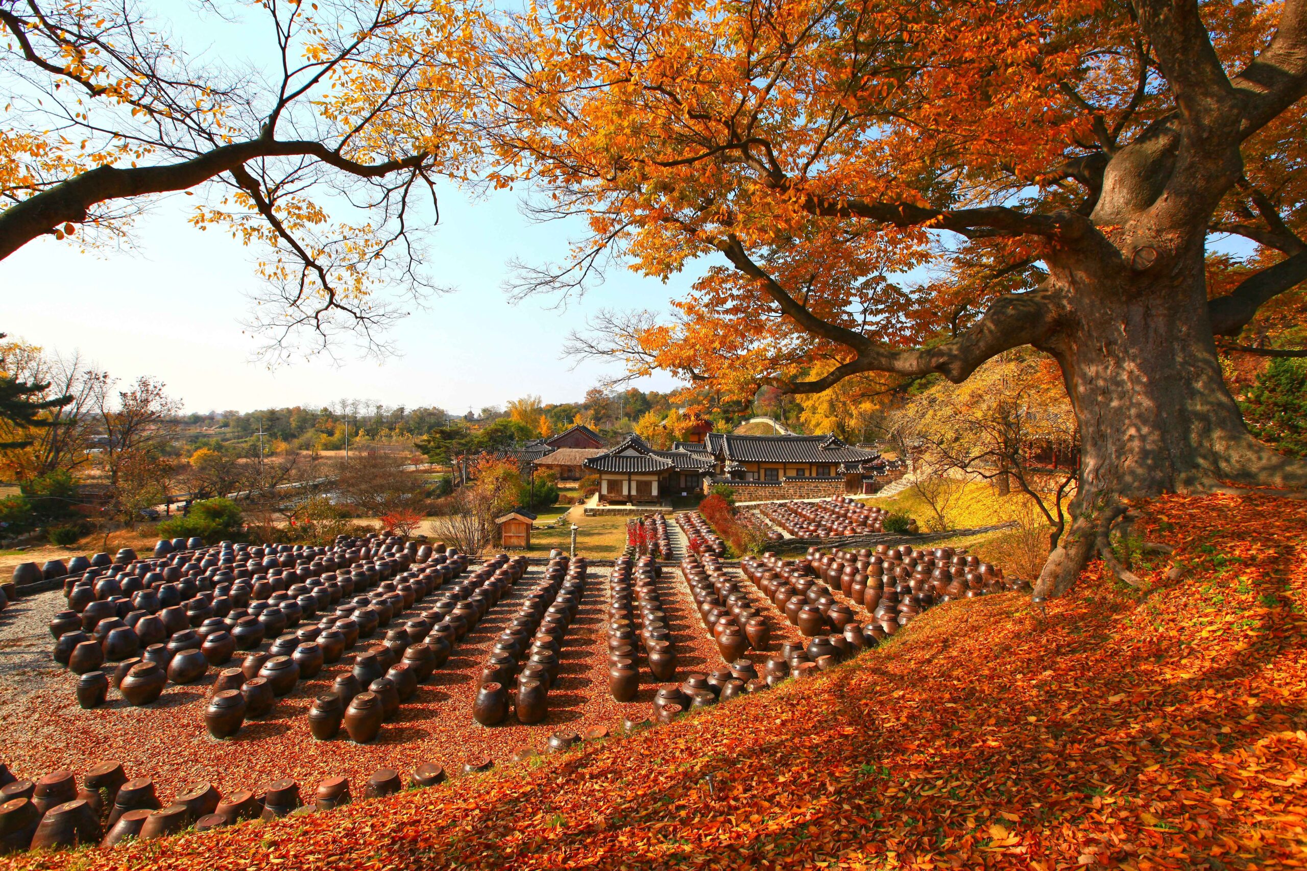 Traditional Korean jangdokdae platform in autumn at historic house