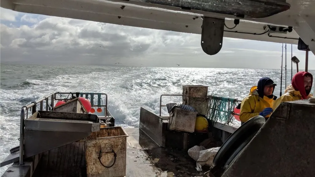 British fishermen on fishing boat catching whelks for Korean export market - they won't eat the sea snails themselves